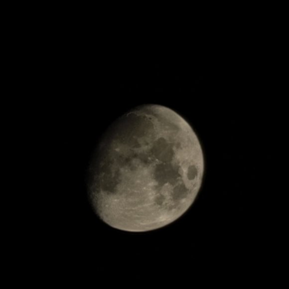 Meet your Posher; "Not for Sale"...but also called Jason, by some. - Picture 10 of 10